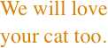 We will love your cat