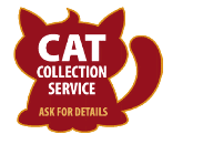 Steps Cattery Stafford cat collection service
